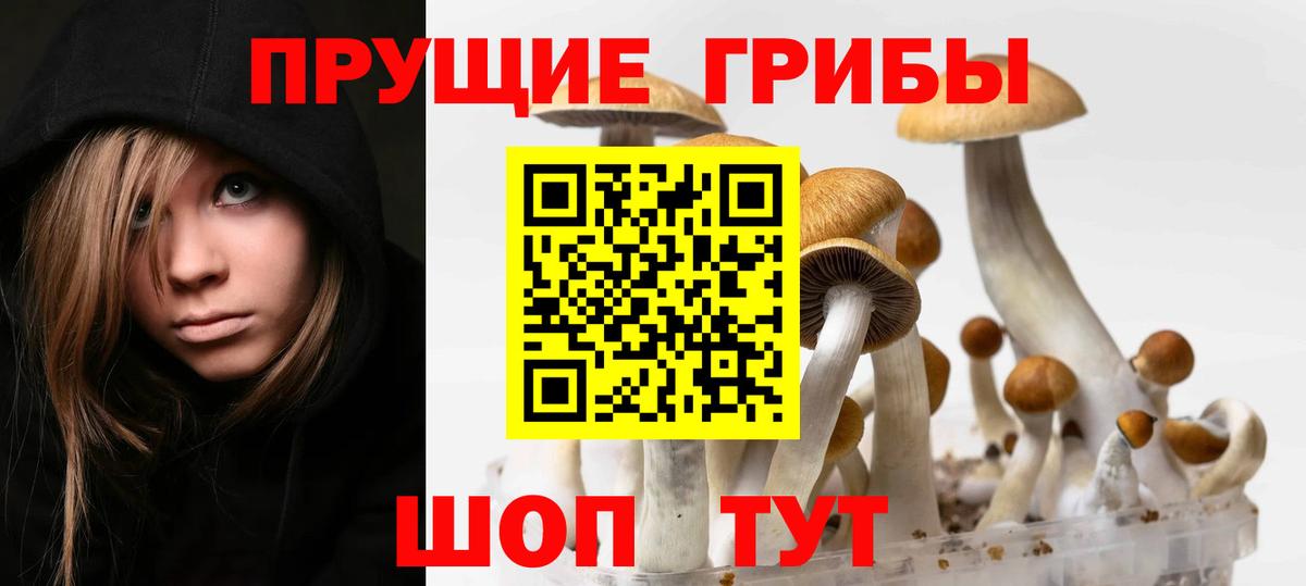 Псилоцибиновые грибы мицелий  Вход с VPN  Старая Купавна 